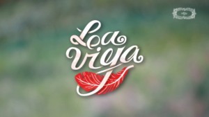 Jamás el esfuerzo desayuda los logros